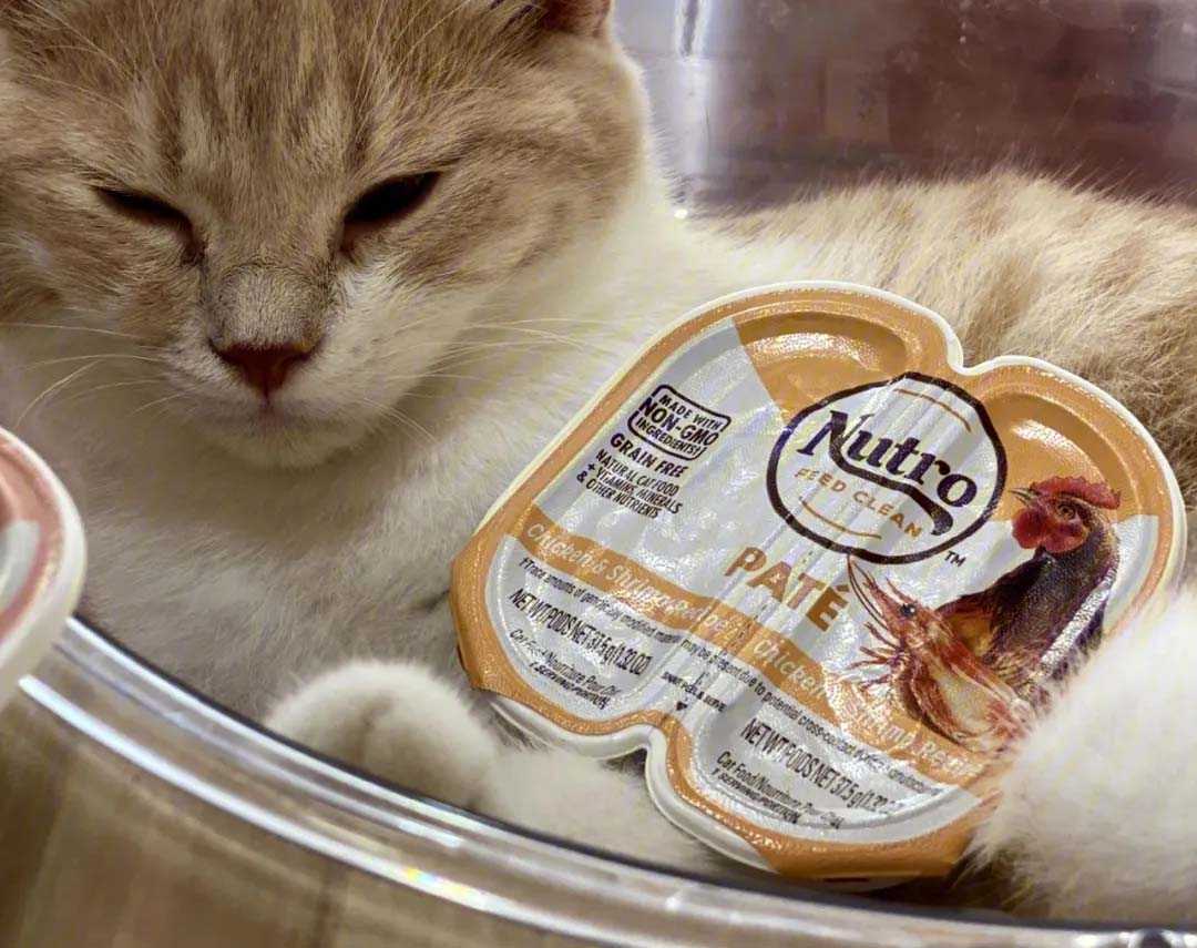 宠物粮包装机:揭秘猫罐头高效包装流程