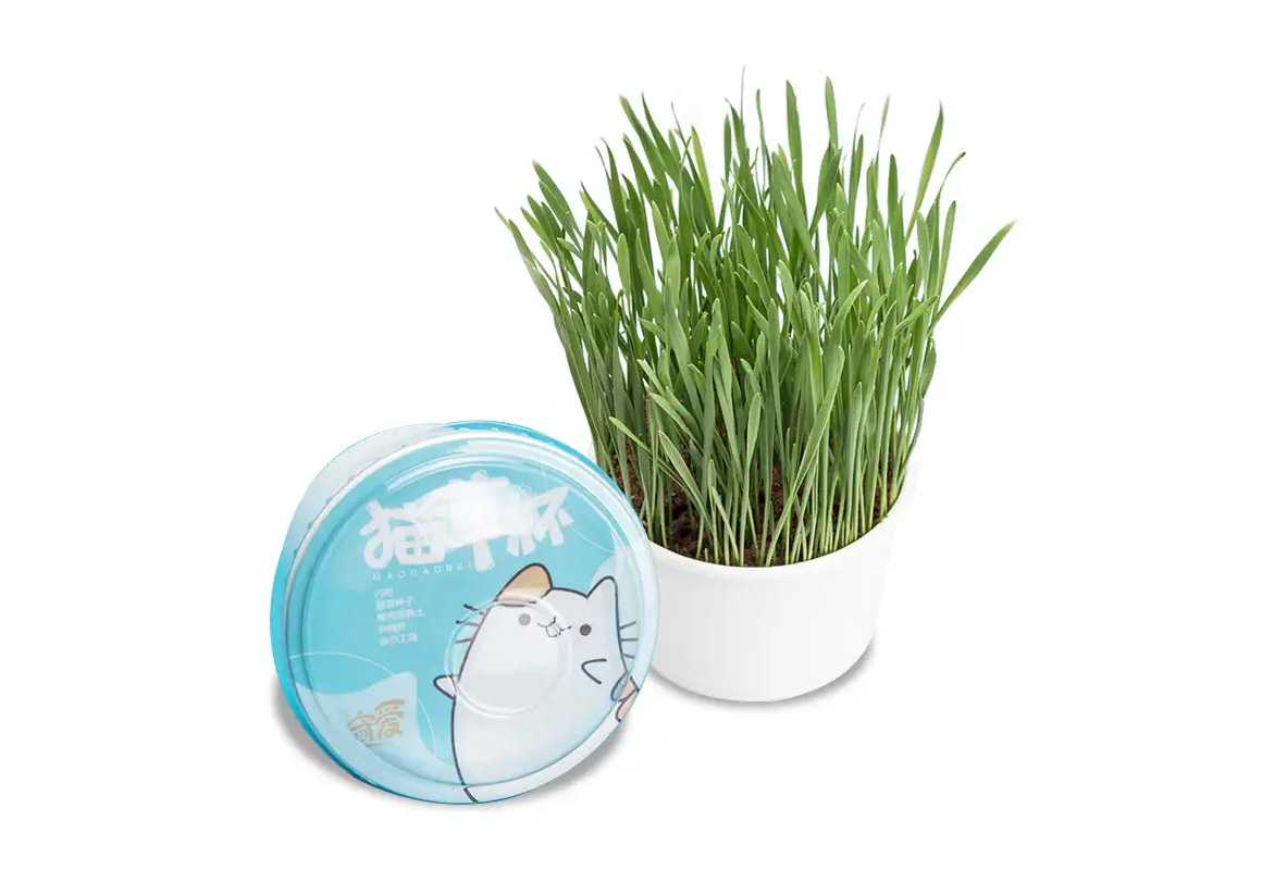 杯装猫草封口机：为爱宠猫咪锁住新鲜绿意