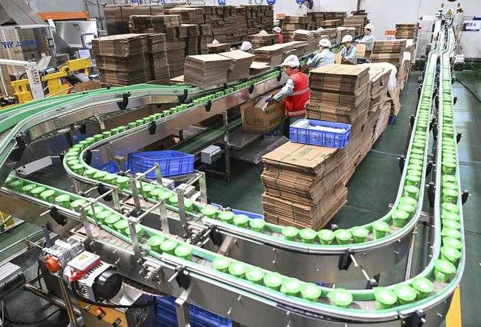 工厂高效生产的秘密:一文掌握包装设备的正确使用与维护技巧